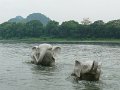 Guilin (027)